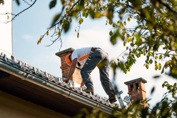 Best Roof Gutter Cleaning  in Byron Center, MI