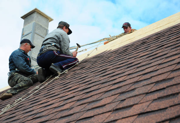 Best New Roof Installation  in Byron Center, MI